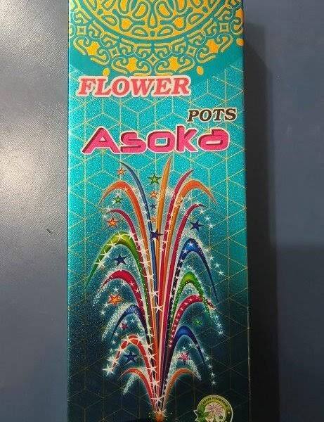 Flower pot Ashoka